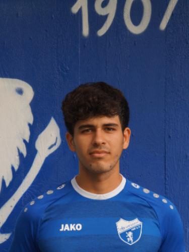 Mohammad Reza Shinwari