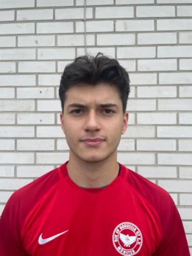 Levin Akogullari