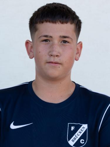 Collin Schweig