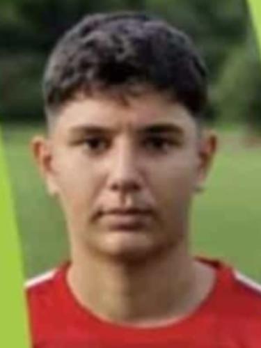 Mendim Halilaj