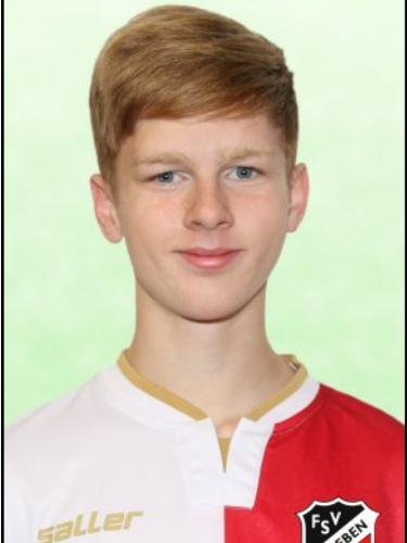 Willi Holze