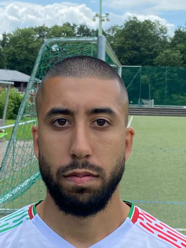 Danial Arameshk