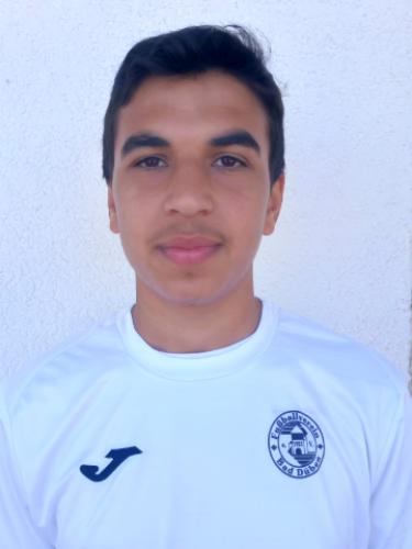 Mahmoud Almouchad