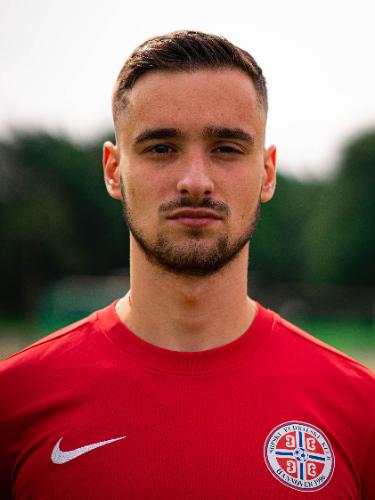 Mihajlo Milosavljevic