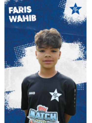 Faris Wahib