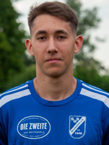 Robert Parfenov