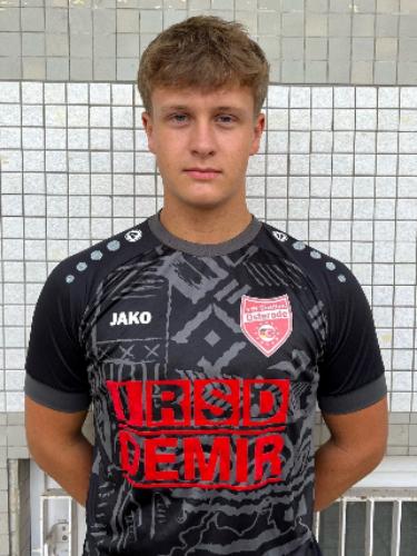 Timo Henke