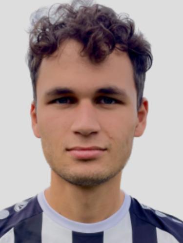 Nick Schaub