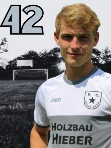 David Finn Hudelmaier