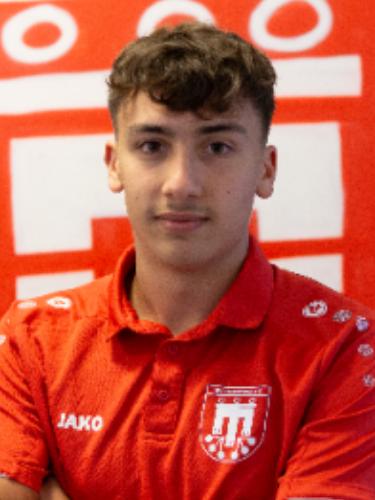 Niko Bleile