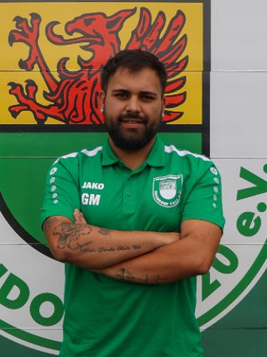 Giuliano Krznaric Martins