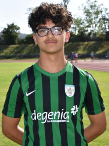Hadi Alshehadah