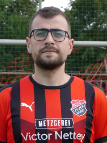 Nikola Beric