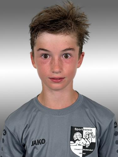 Julian Krause