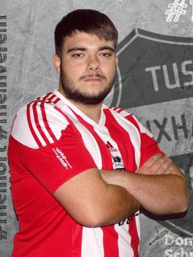 Dominik Schneider