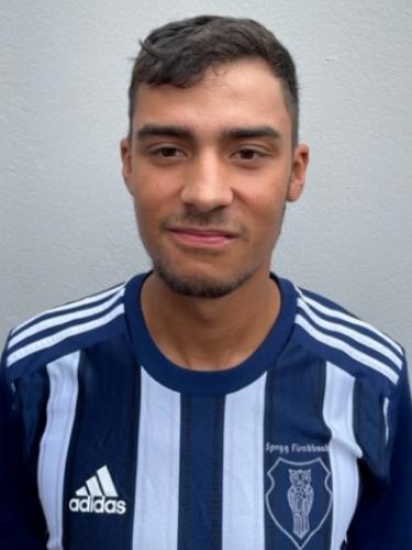 Niklas Angel Emmesberger