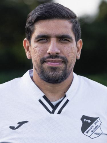 Milorad Mitrovic