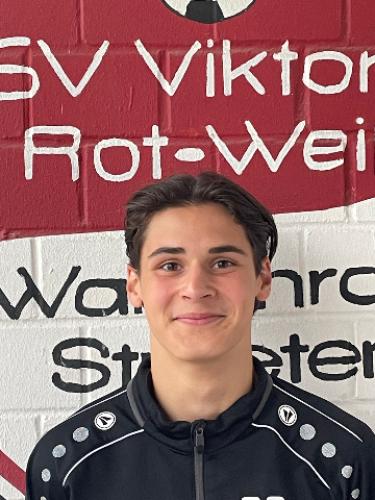 Levi Houben