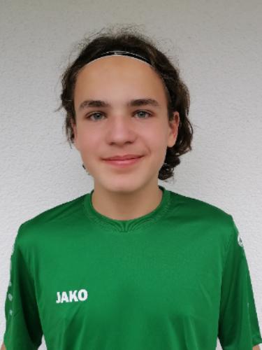Leo Bollmann
