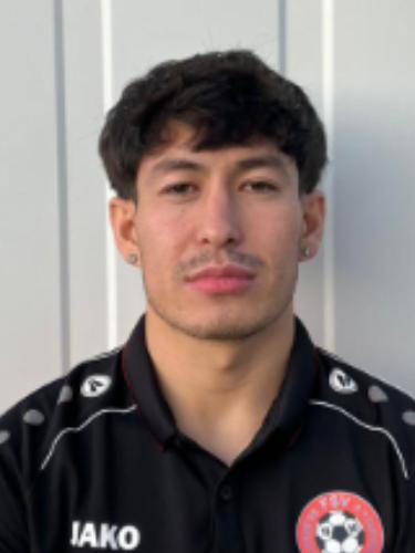 Ahmad Jawid Ibrahimi