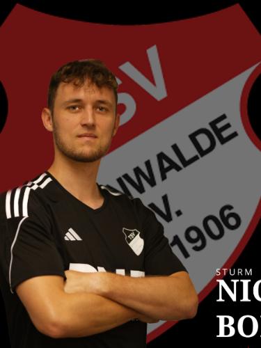 Niclas Bode