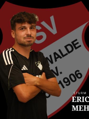 Eric Mehaux