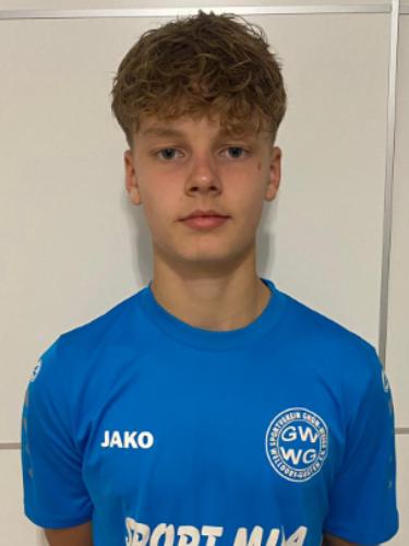 Henri Alexander Winter