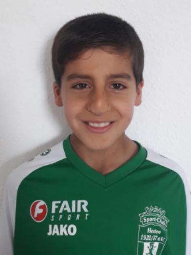 Hisham Al Mohammad Al Madad