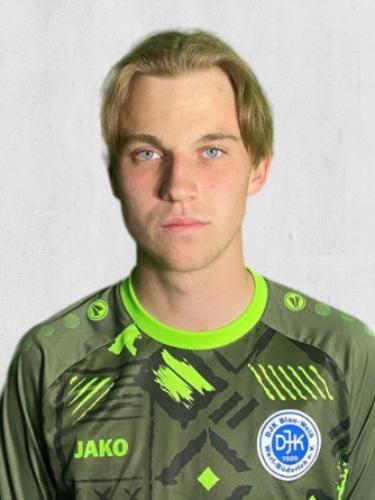 Luis Krollmann
