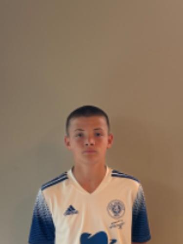 Lukas van Gestel