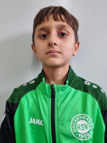 Mehmet Salih Dinler