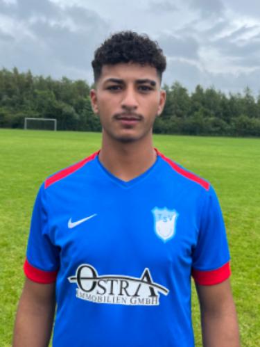 Mohamed Alaouie