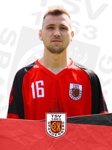Cezar-Robert Monoreanu