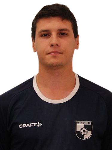 Mircea Popa