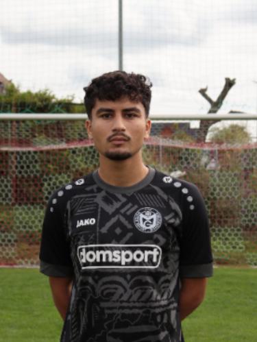 Ahmad Alsheih