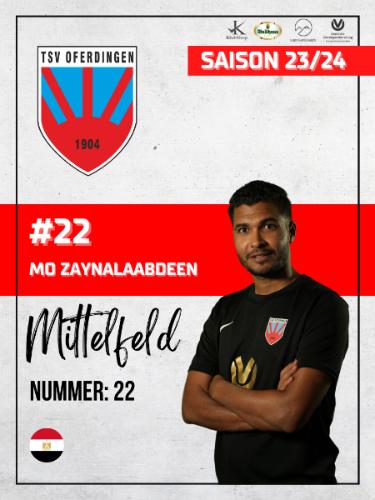 Mohamed Abdelaal Mohamed Zaynalaabdeen