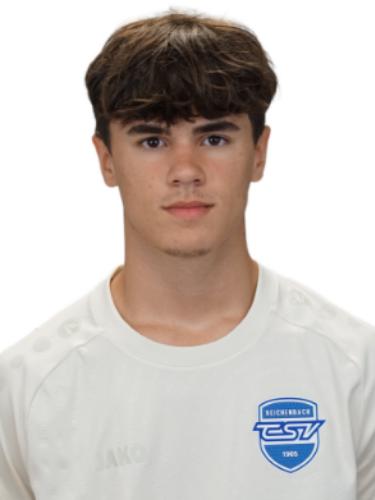 Raul Sepulveda