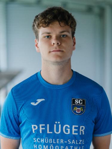 Max Philipp Hellwig