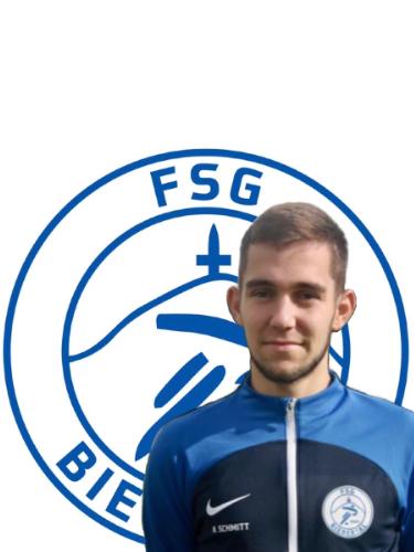 Niklas Schmitt