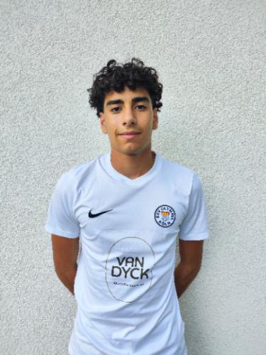 Michel Leon Bucioglu