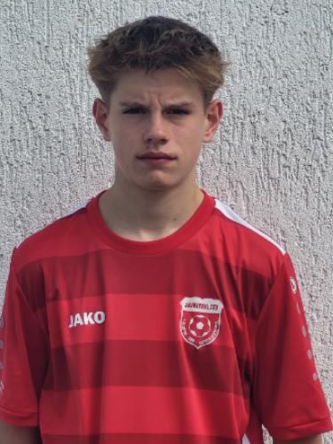 Mika Poldafit