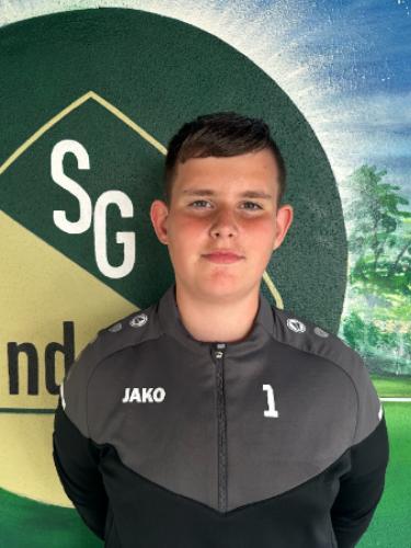 Luis Taylor Pfeiffer