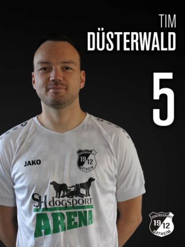 Tim Düsterwald