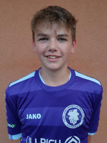 Willy Kulcsar