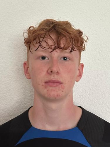 Josua Mehner