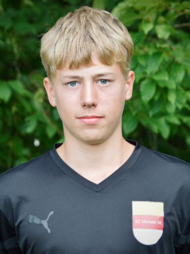 Gustav Henri Maximilian Wiesmann