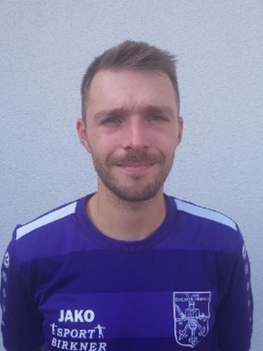Mirco Motnik