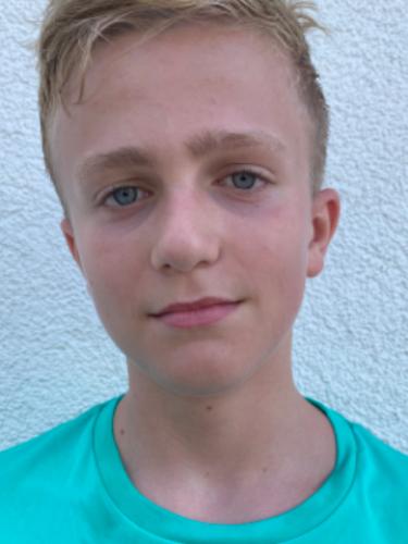 Hamza Focic