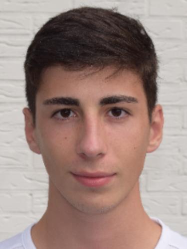 Luka Vasiljevic