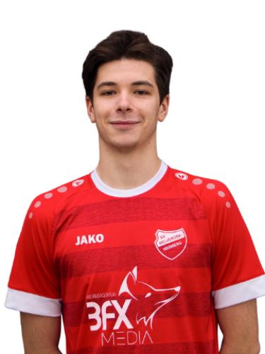 Mason Viol